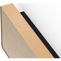 Саундбар Bang & Olufsen Beosound Stage (золотистый) - Превью изображения №4 — Интернет-магазин ПроЗаказ