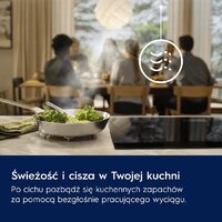 Кухонная вытяжка Electrolux LFV446K - Превью изображения №4 — Интернет-магазин ПроЗаказ