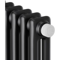 Стальной трубчатый радиатор Royal Thermo Insignia VC2180 - 08 секций RAL9005m - Превью изображения №3 — Интернет-магазин ПроЗаказ