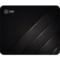 CACTUS CS-MPC-P04M