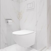 Унитаз подвесной Lauter Sulzdorf с микролифтом и кнопкой смыва 219701HD (белый/хром) - Превью изображения №17 — Интернет-магазин ПроЗаказ