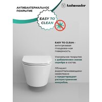 Унитаз подвесной Ambassador Ritz 233K19003RS - Превью изображения №8 — Интернет-магазин ПроЗаказ