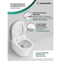 Унитаз подвесной Ambassador Ritz 233K19003RS - Превью изображения №7 — Интернет-магазин ПроЗаказ