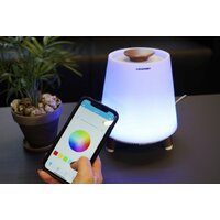 Беспроводная колонка Blaupunkt BT25LAMP - Превью изображения №4 — Интернет-магазин ПроЗаказ