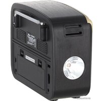 Радиоприемник Ritmix RPR-050 (золотой) - Превью изображения №8 — Интернет-магазин ПроЗаказ