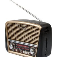 Радиоприемник Ritmix RPR-050 (золотой) - Превью изображения №2 — Интернет-магазин ПроЗаказ