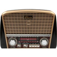 Ritmix RPR-050 (золотой)