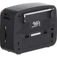 Радиоприемник Ritmix RPR-050 (золотой) - Превью изображения №9 — Интернет-магазин ПроЗаказ