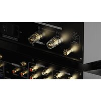 Усилитель мощности Eversolo AMP-F10 - Превью изображения №7 — Интернет-магазин ПроЗаказ