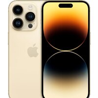 Apple iPhone 14 Pro 256GB Восстановленный by Breezy, грейд B (золотистый)