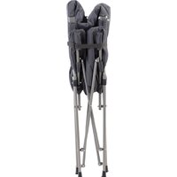 Кресло Trek Planet Argo Deluxe 70657 (серый) - Превью изображения №3 — Интернет-магазин ПроЗаказ