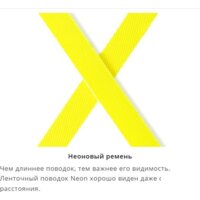 Поводок-рулетка Flexi Giant 8 м 15568 (L, черный) - Превью изображения №2 — Интернет-магазин ПроЗаказ