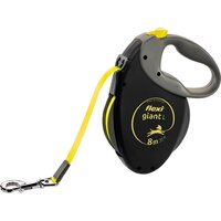 Ошейники, поводки, намордники для животных