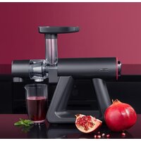 Соковыжималка Rondell RDE-1503 - Превью изображения №4 — Интернет-магазин ПроЗаказ