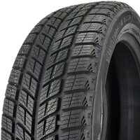 Зимние шины DoubleStar DW09 235/55R20 102H - Превью изображения №3 — Интернет-магазин ПроЗаказ