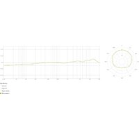 Проводной микрофон Lewitt LCT 441 Flex - Превью изображения №14 — Интернет-магазин ПроЗаказ