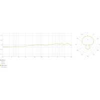 Проводной микрофон Lewitt LCT 441 Flex - Превью изображения №13 — Интернет-магазин ПроЗаказ