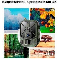 Фотоловушка Suntek HC-940 Ultra Li - Превью изображения №4 — Интернет-магазин ПроЗаказ