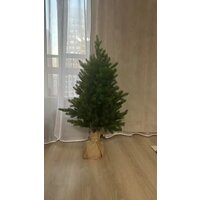 Ель National Tree Company Грация Премиум ГР/ПР-90 90 см - Превью изображения №13 — Интернет-магазин ПроЗаказ