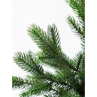 Ель National Tree Company Грация Премиум ГР/ПР-90 90 см - Превью изображения №5 — Интернет-магазин ПроЗаказ