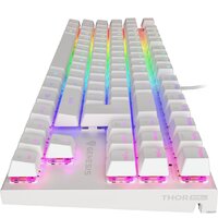 Клавиатура Genesis Thor 303 TKL RGB (белый, нет кириллицы) - Превью изображения №4 — Интернет-магазин ПроЗаказ