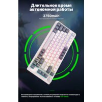 Клавиатура Royal Kludge RK-H81 RGB White Night (RK Cyan) - Превью изображения №15 — Интернет-магазин ПроЗаказ