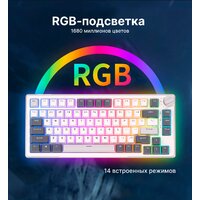 Клавиатура Royal Kludge RK-H81 RGB White Night (RK Cyan) - Превью изображения №14 — Интернет-магазин ПроЗаказ