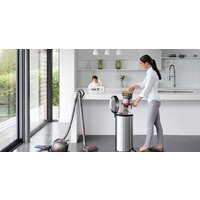 Пылесос Dyson Big Ball Multifloor 2+ - Превью изображения №5 — Интернет-магазин ПроЗаказ