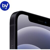 Смартфон Apple iPhone 12 64GB Восстановленный by Breezy, грейд B (черный) - Превью изображения №3 — Интернет-магазин ПроЗаказ