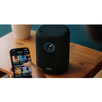 Беспроводная аудиосистема WiiM Sound (черный) - Превью изображения №8 — Интернет-магазин ПроЗаказ