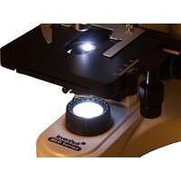 Микроскоп Levenhuk MED 10B бинокулярный 73984 - Превью изображения №17 — Интернет-магазин ПроЗаказ