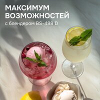 Стационарный блендер Zigmund & Shtain BS-488 D - Превью изображения №7 — Интернет-магазин ПроЗаказ