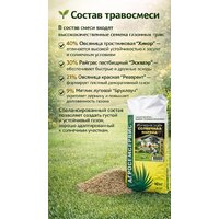 Семена АГРОСЕМСЕРВИС Солнечная поляна (10 кг) - Превью изображения №2 — Интернет-магазин ПроЗаказ