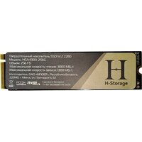 SSD Horizont H-Storage 256GB HSA4300-256G - Превью изображения №1 — Интернет-магазин ПроЗаказ