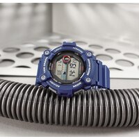 Наручные часы Casio WS-1300H-2A - Превью изображения №3 — Интернет-магазин ПроЗаказ