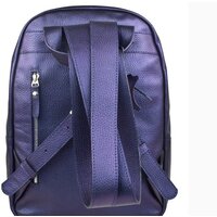 Городской рюкзак Carlo Gattini Premium Albiate 3103-56 (индиго) - Превью изображения №3 — Интернет-магазин ПроЗаказ