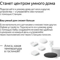 Умная колонка Яндекс Станция Мини 2 с часами (красный гранат) - Превью изображения №8 — Интернет-магазин ПроЗаказ