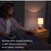 Беспроводная кнопка Яндекс YNDX-00524 - Превью изображения №6 — Интернет-магазин ПроЗаказ