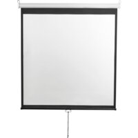 Проекционный экран Digis Optimal-D 308x177 DSOD-16907 - Превью изображения №6 — Интернет-магазин ПроЗаказ