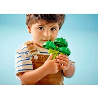 Конструктор LEGO Duplo 10982 Трактор для перевозки овощей и фруктов - Превью изображения №6 — Интернет-магазин ПроЗаказ