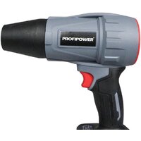  Profipower ProfiSet-2D20 (воздуходувка, цепная пила, 2 АКБ) - Превью изображения №17 — Интернет-магазин ПроЗаказ