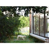 IP-камера TP-Link Tapo C460 KIT - Превью изображения №19 — Интернет-магазин ПроЗаказ