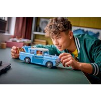 Конструктор LEGO Harry Potter 76470 Летающий Форд «Англия» - Превью изображения №10 — Интернет-магазин ПроЗаказ