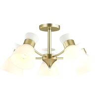 Lumion Wilma 4535/5C