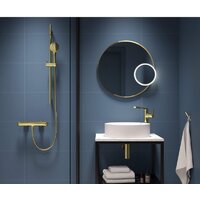 Душевой гарнитур  Deante Arnika Gold NQA Z51K - Превью изображения №2 — Интернет-магазин ПроЗаказ