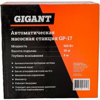 Насосная станция Gigant GP-17 - Превью изображения №23 — Интернет-магазин ПроЗаказ