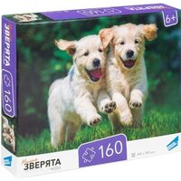 Dream Makers Зверята RI1603C