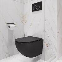 Унитаз подвесной Lauter Sulzdorf с микролифтом и кнопкой смыва 219704E (белый/черный) - Превью изображения №25 — Интернет-магазин ПроЗаказ