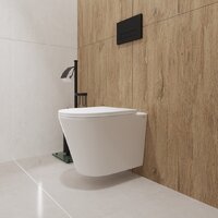 Унитаз подвесной Lauter Longer 2110822 + GROHE Rapid SL 38721001 с кнопкой (овальная, хром) - Превью изображения №11 — Интернет-магазин ПроЗаказ