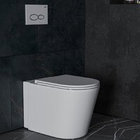 Унитаз приставной Roxen Antares 650185-01 Rimless Soft Close - Превью изображения №2 — Интернет-магазин ПроЗаказ